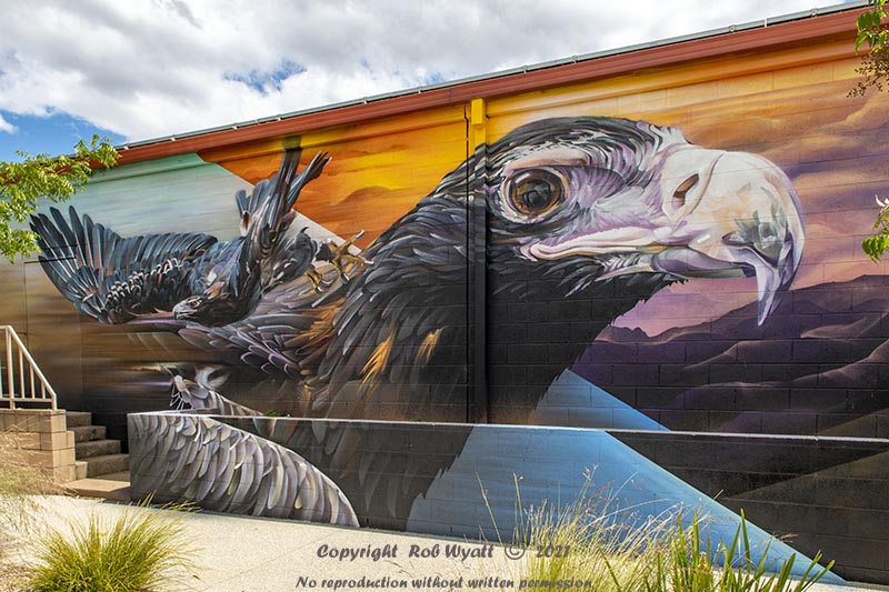 Wedderburn Street Art